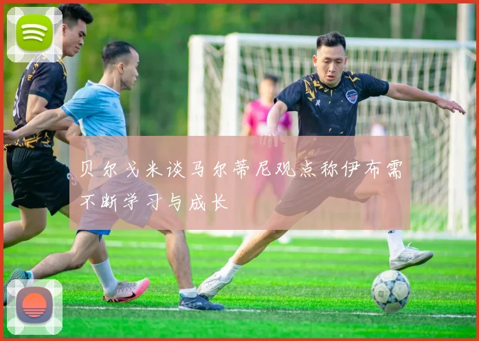 贝尔戈米谈马尔蒂尼观点称伊布需不断学习与成长
